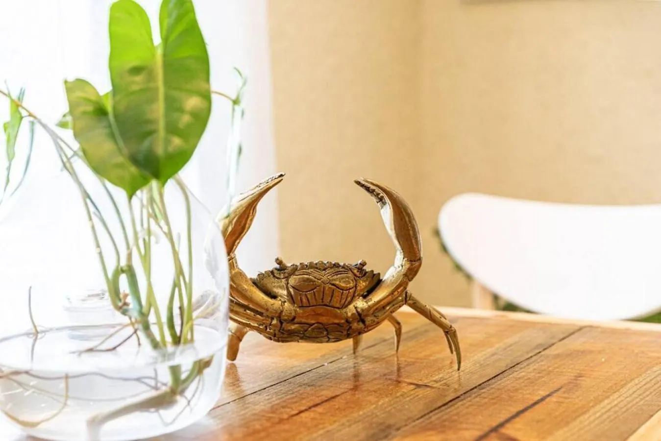 Rabbits Apartment In Paradise ميناء دوغلاس